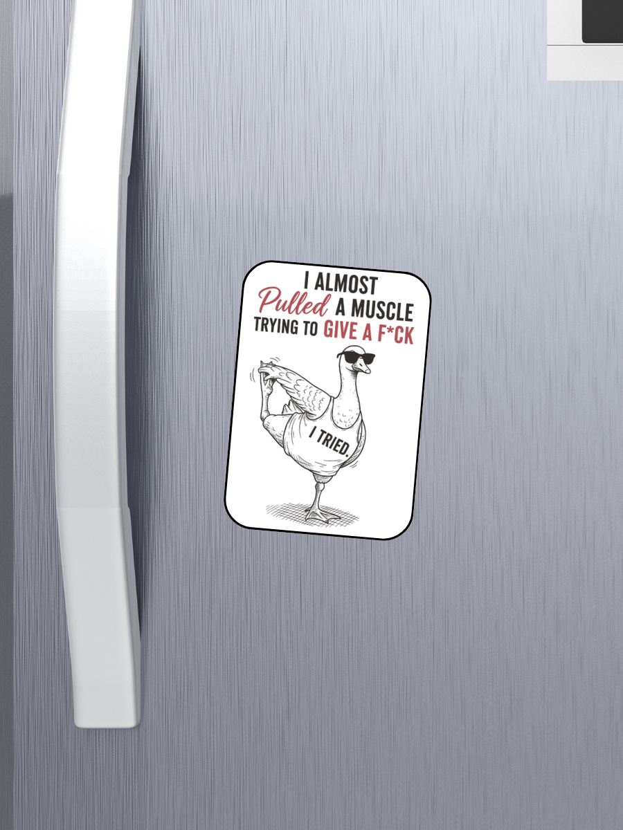 SNARKY AND FUN KITCHEN MAGNETS | READ AT YOUR OWN RISK